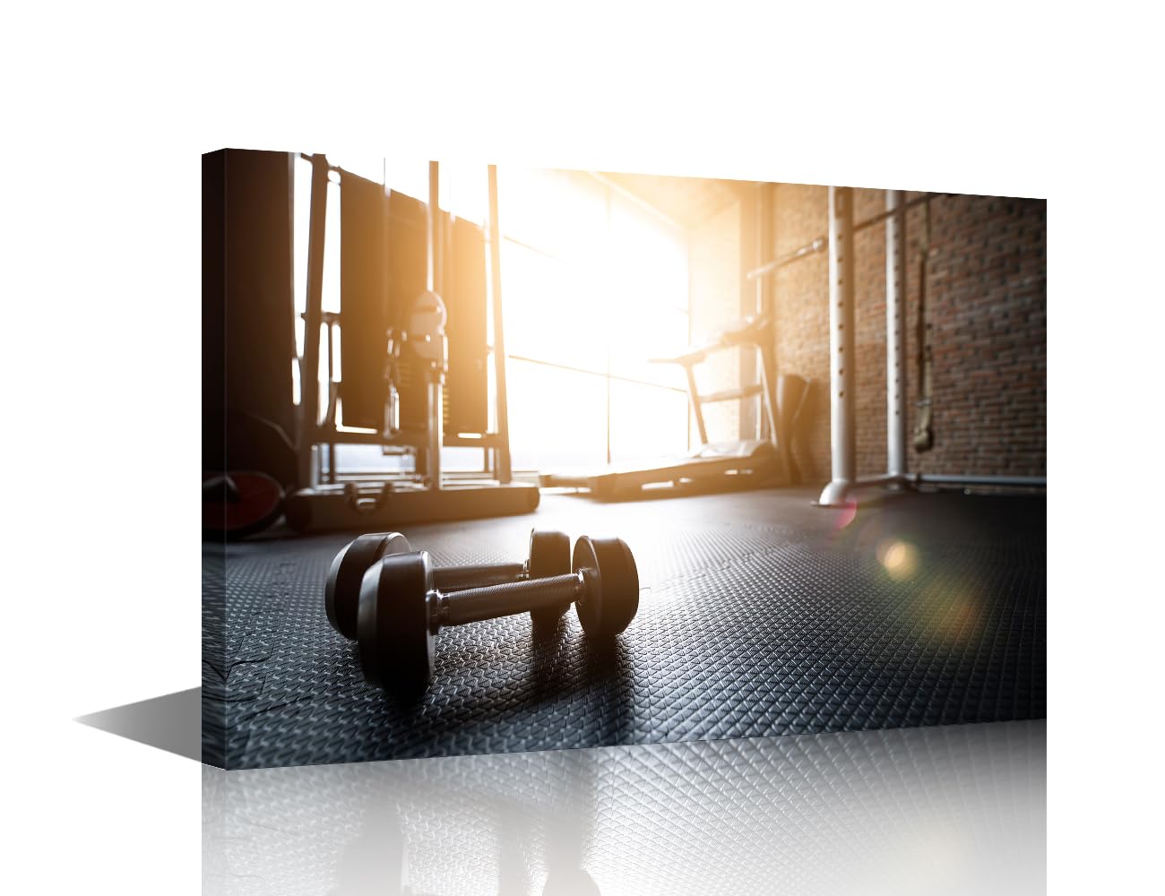 TISHIRON Canvas Wall Art Sports Equipment Paintings for Living Room Fitness Gym Pictures Artwork Prints Wall Art on Canvas Contemporary Decor Framed Gallery-Wrapped Ready to Hang 24x16 in