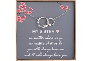 AnalysisyLove Sister Gifts from Sister, Sterling Silver Interlocking Infinity 2 Circles Necklace for Sisters, Big Sister Little Sister Gift, Birthday Jewelry Friendship Gifts