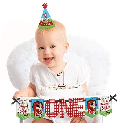 Amazon Com Big Dot Of Happiness Farm Animals 1st Birthday First