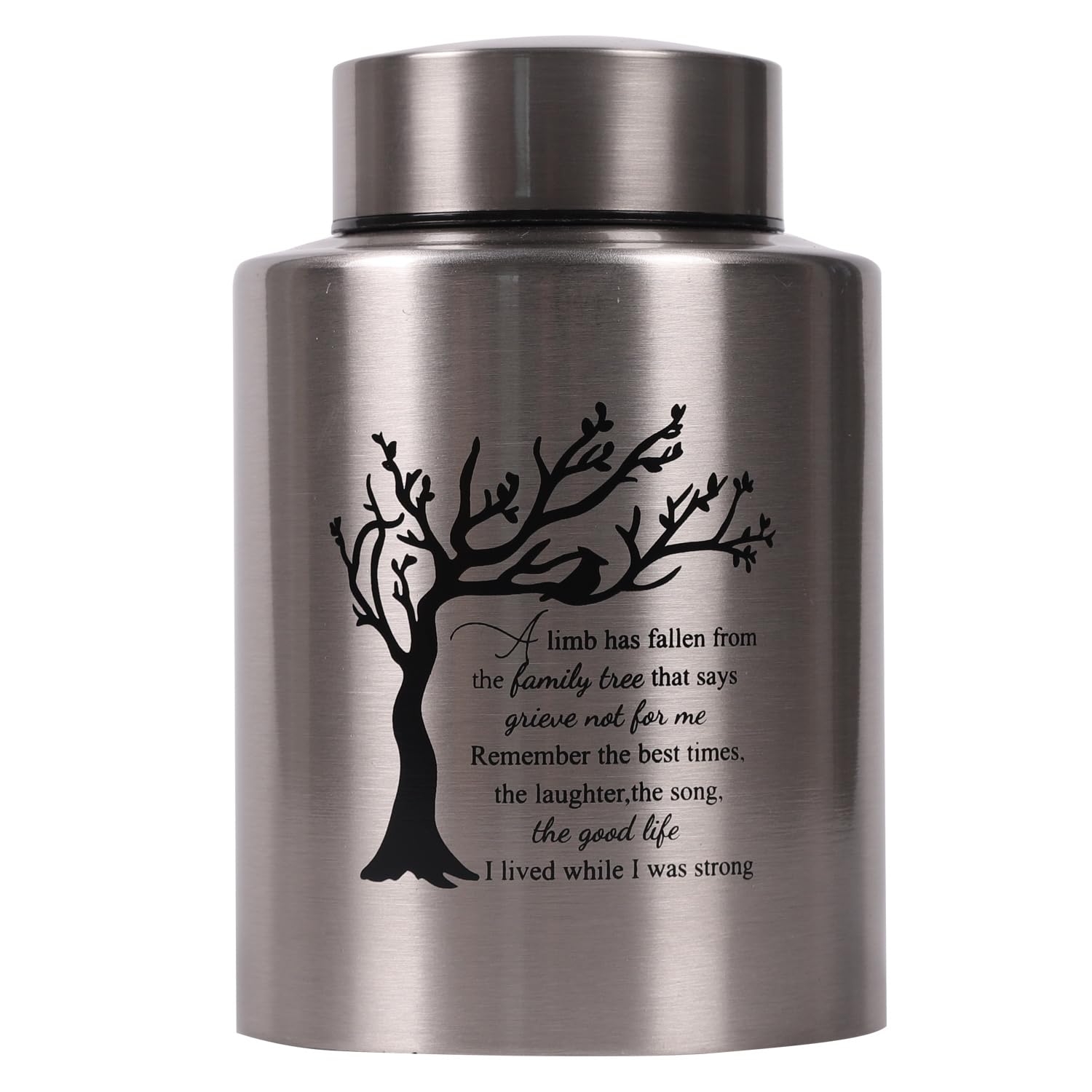Tree of Life Medium Urn for Human Ashes - Angel Wings Keepsake Urn for Adult Male Female (Silver) — image 1