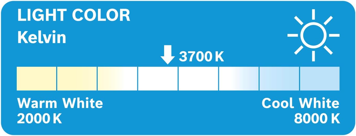 Bosch H7 (477) Xenon Blue Headlight Bulb - 12 V 55 W PX26d - 1 Bulb, Single (1) bulb in Blister package - Image 3