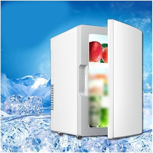 car mini refrigerator