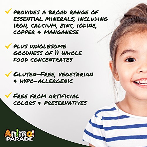 image for Nature's Plus Natures Plus Animal Parade Source of Life Childrens Liqu