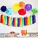 Bobee Rainbow Party Decorations 42 Piece Rainbow DIY Pom Poms and Tassel Garland