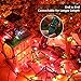 BrizLabs Multicolored Christmas Lights, 69.6ft 300 Count Connectable Christmas Tree Lights, 120V UL Certified Incandescent Light String, Mini Xmas Light for Indoor Xmas Holidays Home Decoration