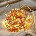 RaThun 33ft 100 LEDs String Lights Flexible Copper Wire Lights Waterproof Design Decor Rope Lights for Festival, Christmas, Wedding, Holiday and Party with Wireless Remote Control, Warm White