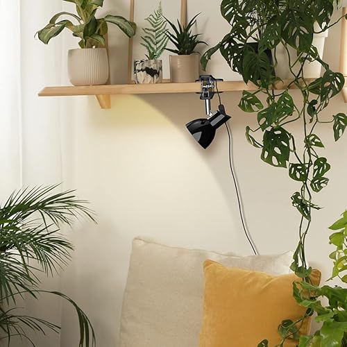 deeloop Clip on Light 5W Ultra Bright 330° Rotation Book Reading Clip on  Lamp for Bed/Bedside Headboard/Table/