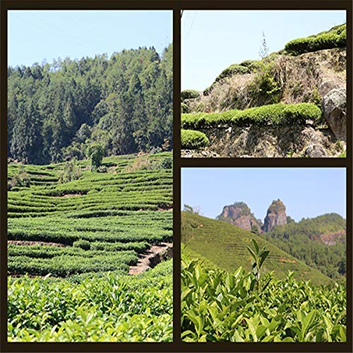 250 g Taiwan Ginseng Oolong Tee Kostengünstiger Oolong Tee Neuer Tee Frischer chinesischer Anxi Oolong Tee Grüner Tee Grünes Essen – Bild 8