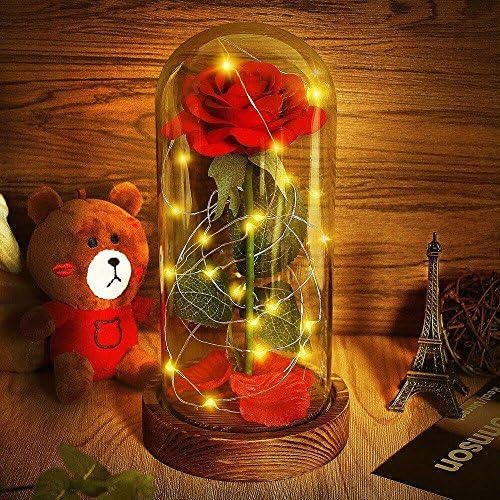 Beauty and The Beast Rose, Red Silk Rose That Lasts Forever in a Glass Dome with LED Lights,Gift for Valentine's Day Wedding Anniversary Birthday (Brown)