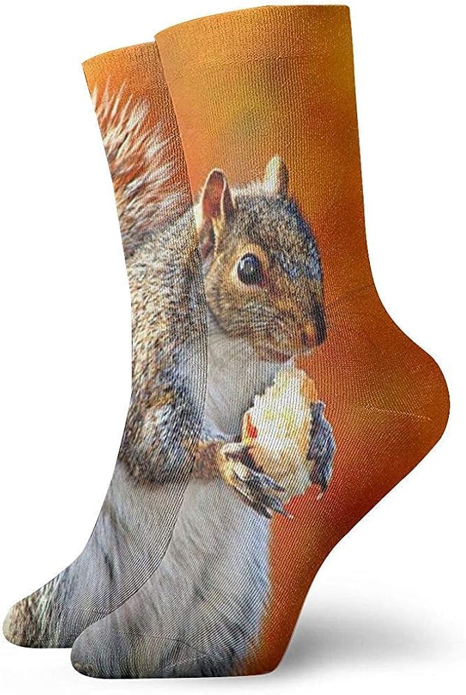 Cute Brown Squirrel Ankle Socks Casual Cozy Crew Socks for Men, Women