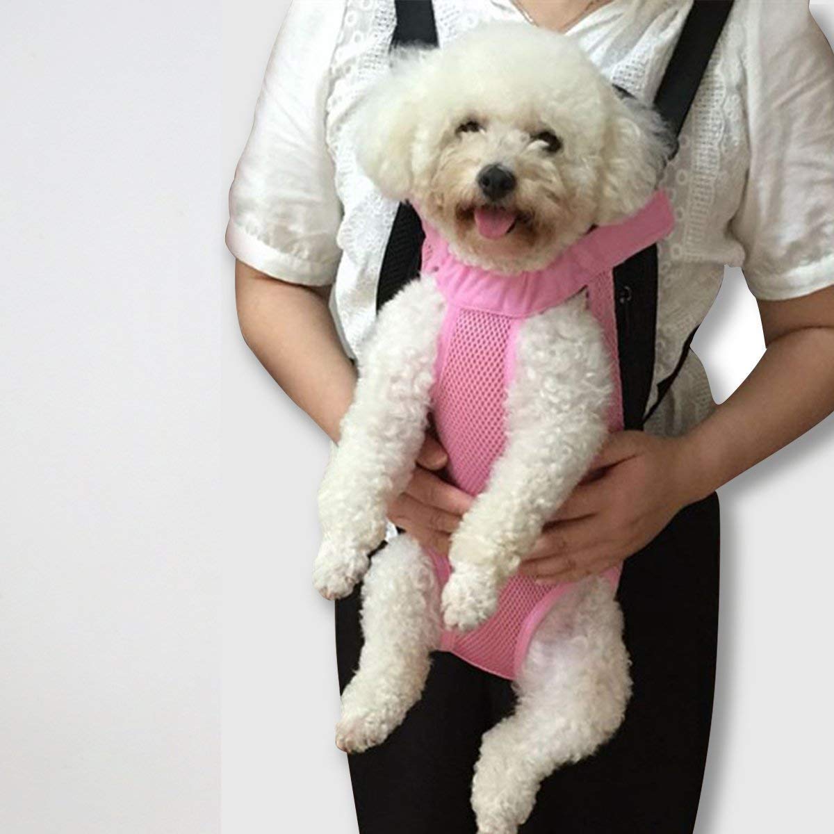 dog holder for chest
