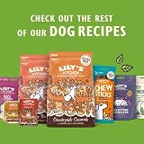 Lily's Kitchen Rainbow Stew Adult Wet Dog Food 10x150g Plant Based view 6