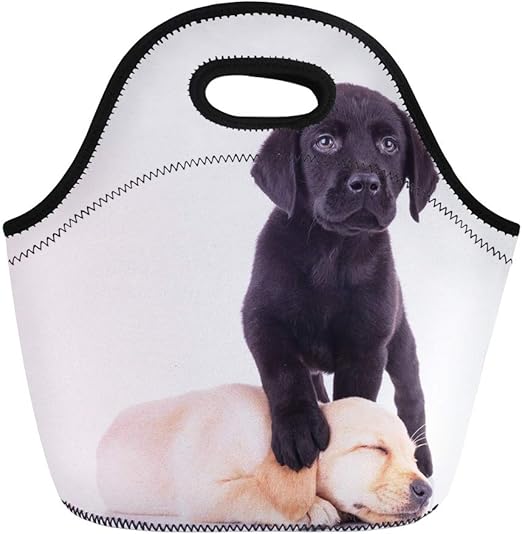 little black bag lunch bag