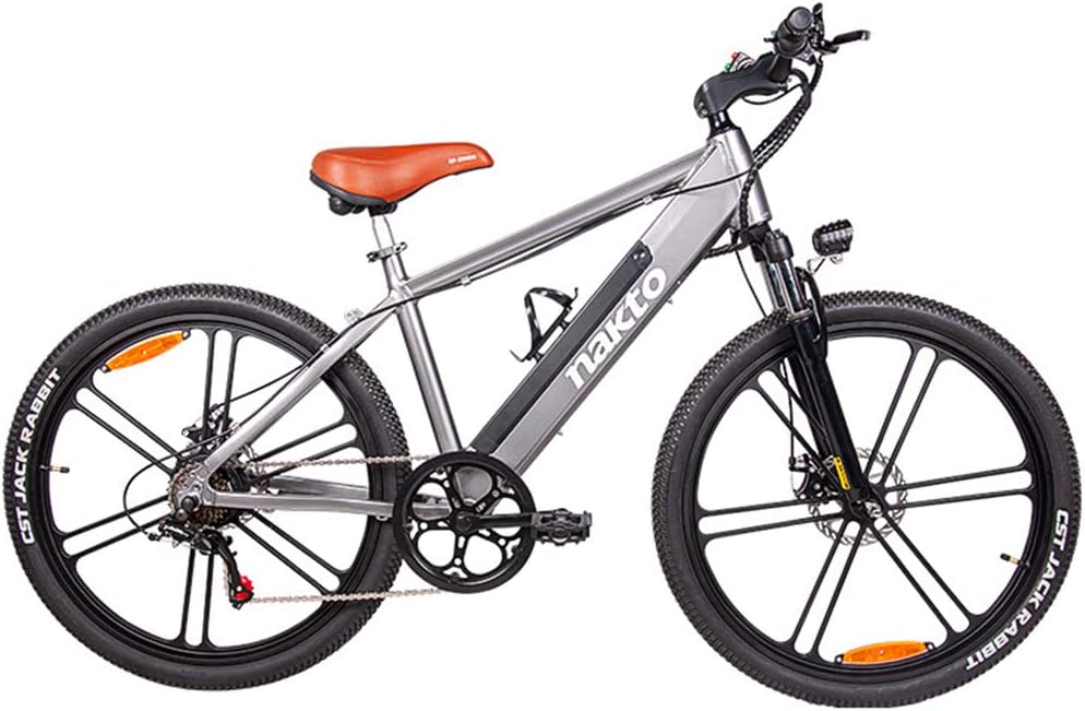 Electric pedal bicycle, fat adult electric mountain bike 6-speed 26-inch magnesium alloy shock absorber front fork, 48V/10AH battery, 350W motor hybrid power up to 70km (removable lithium battery)