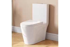 DeerValley Elongated One Piece Toilet for Bathrooms, Comfort Seat Height 17", Dual Power Flush Toilet 1.1/1.6 GPF MAP 900g, DV-1F52102