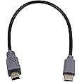 Duttek Mini USB to USB C OTG Cable, Short Type C to Mini Male Cable On-The-go Data Convertor Adapter for MacBook, iMac Pro, Chromebook Pixel 10 inch/25 cm