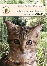 Le  b.a.-ba des plantes pour mon chat