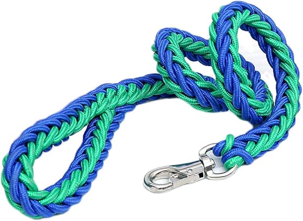 thick braided dog leash