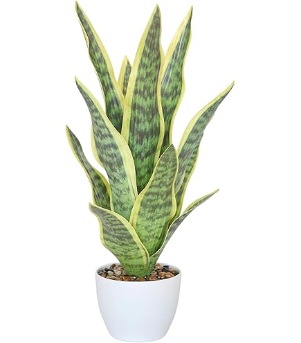 Amazon.com: XZJMY Fake Snake Plant 16.5" Artificial Plant Fake Sansevieria  for Home Office Store Decoration,Without Vase (3Pcs, Green) : Home & Kitchen