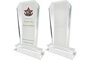 YGFRSTO 2 Pack Sublimation Crystal Blanks Sublimation Plaque Glass Blanks for Sublimation Award Trophy Photo Picture Frame Tabletop Ornaments DIY Gifts (Award)
