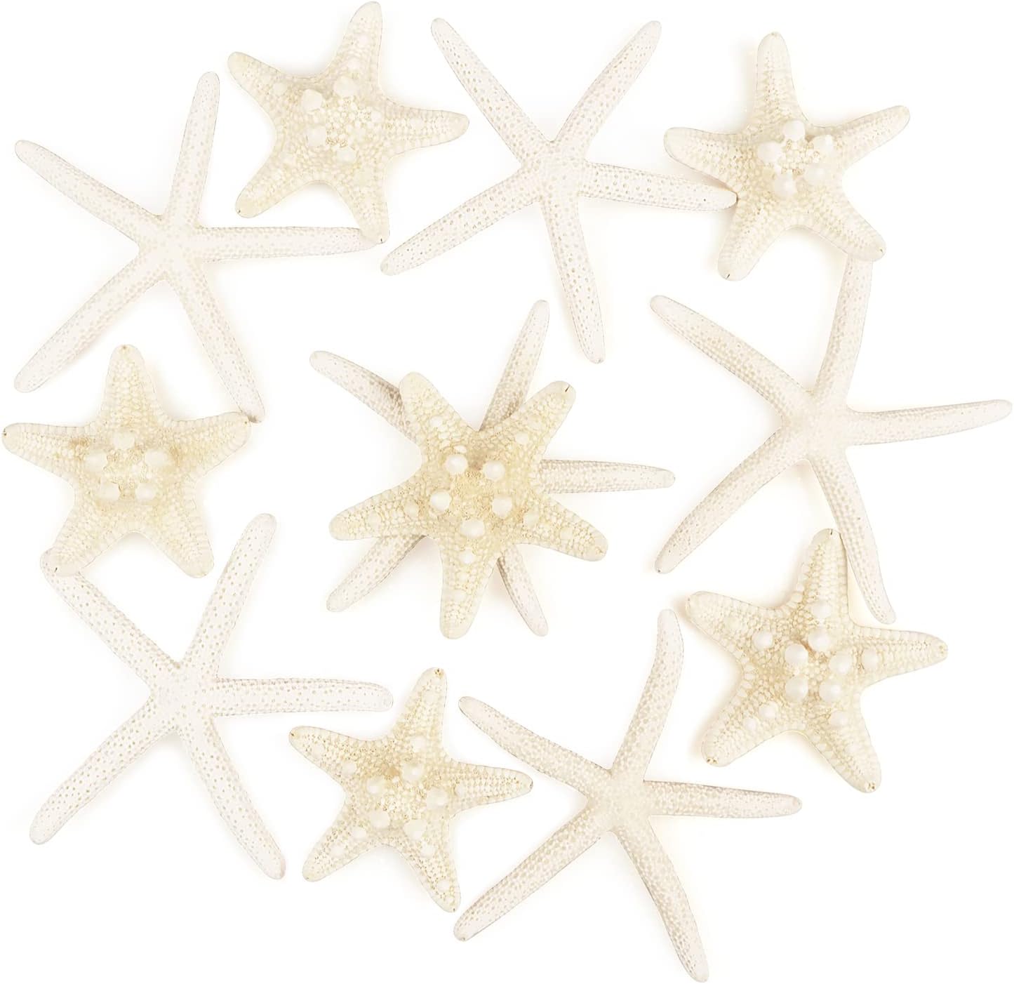Vase Fillers - Jangostor 12 PCS Starfish 2-6 Inch Mixed Starfish Natural Seashells Starfish Star Fish Shells Decorations Perfect for Wedding Decor Beach Theme Party, Home Decorations, DIY Crafts, Fish Tank