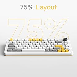 iQunix ZX75 Gravity Wave 75% RGB Mechanical