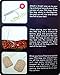 Mimilure 100pcs PVA Carp Fishing Bags Quick Water Soluble Baits Bag for Boilie Rig Solid Baits Carp Fishing Accessory Tools (3 Sizes))