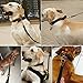 Beirui Genuine Leather Dog Leash - 5 Foot by 5/8 Inch - MultiPurpose Dog Leads - Training & Walking - Best Choice for Pitbull Mastiff etc. Large Macho Dogs,Brown