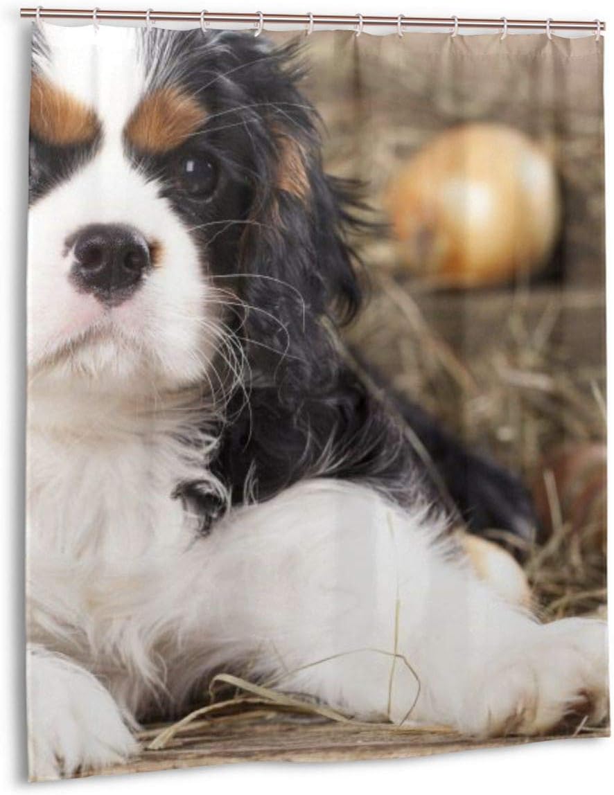 Amazon Co Jp シャワーカーテン かわいい犬と玉ねぎ バスカーテン 浴室カーテン 目隠しカーテン 間仕切りカーテン リング付け 不透明 取り付け簡単 防水 防カビ 雑貨 清潔感 速乾 洗面所 おしゃれ 152 1cm ホーム キッチン