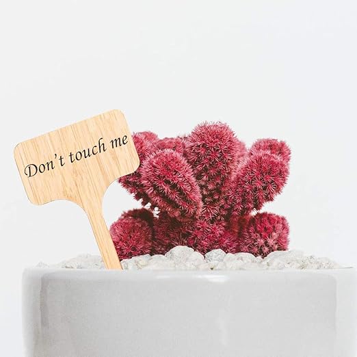 ANBET 60 Piezas Etiquetas de Plantas de bambú, 50 Piezas Etiquetas ...