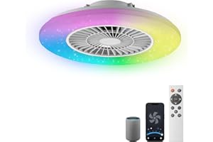 BKZO Ceiling Fans with Lights and Remote, 24'' Low Profile Ceiling Fan, RGB Ceiling Fan Lights, Stepless Dimming for Living Room, Dining Room, Bedroom