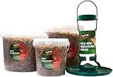 Extra Select Dried Mealworms for Birds 3 Litre High Protein Treat view 3