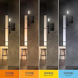 Feit Electric 40-Watt Equivalent T6 Dimmable