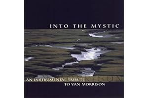 Into The Mystic An Instrumental Tribute To Van Morrison
