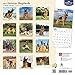 German Shepherds 2017 Square (Multilingual Edition)