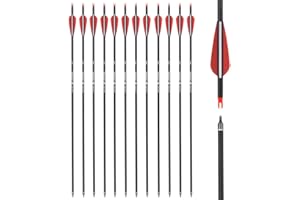 TY ARCHERY Carbon Arrow Hunting Arrows with 100 Grain Removable Tips for Archery Compound & Recurve & Traditional Bow Practice Shooting (Pack of 12)
