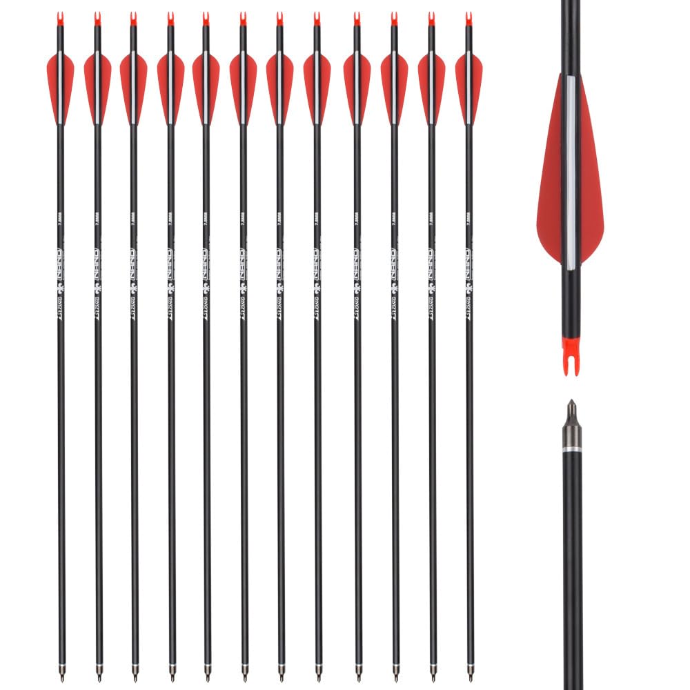32 inch Carbon Arrow Hunting Arrows Spine 500 with 100 Grain Removable Tips for Archery Compound Bow Recurve Bow Practice Shooting (Pack of 12)