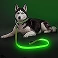 Colaseeme LED Dog Leash Light Up Dog Leash 4 Feet Micro USB Rechargeable Nylon Webbing Glow Safety Standard Dog Leash for Dog