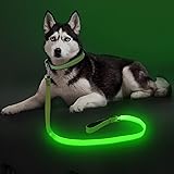 Colaseeme LED Dog Leash Light Up Dog Leash 4 Feet Micro USB Rechargeable Nylon Webbing Glow Safety Standard Dog Leash for Dog