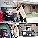 Zentone Car Trunk Organizer |Heavy Duty Collapsible/Foldable Car Organizer for Groceries, Tools & More| Ideal for Cars, Trucks, SUVs + Ebook