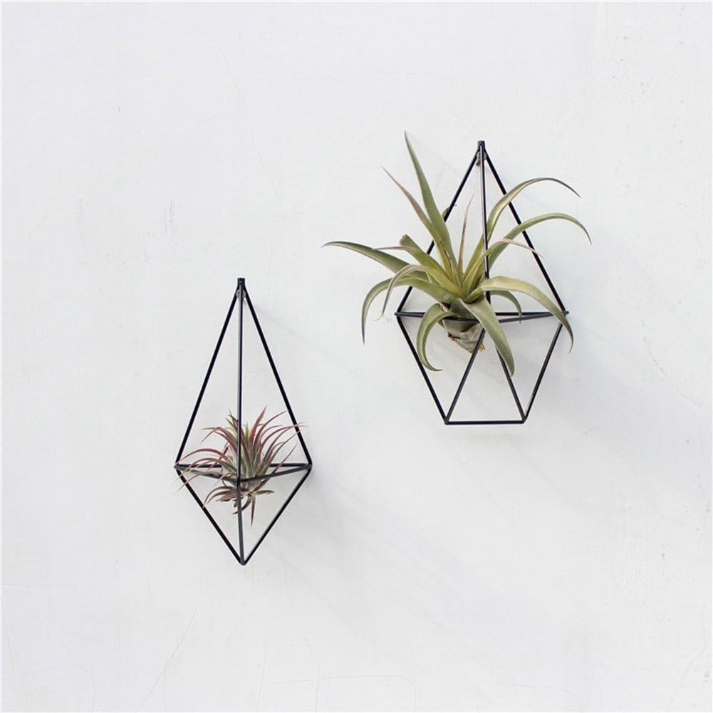 PerGrate Wall Mounted Air Plant Holder Irregular Geometric Metal Hanging Rack for Branch Gutter Ceiling