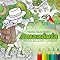 Livro Frans Krajcberg Amazônia : Um livro para colorir e preservar