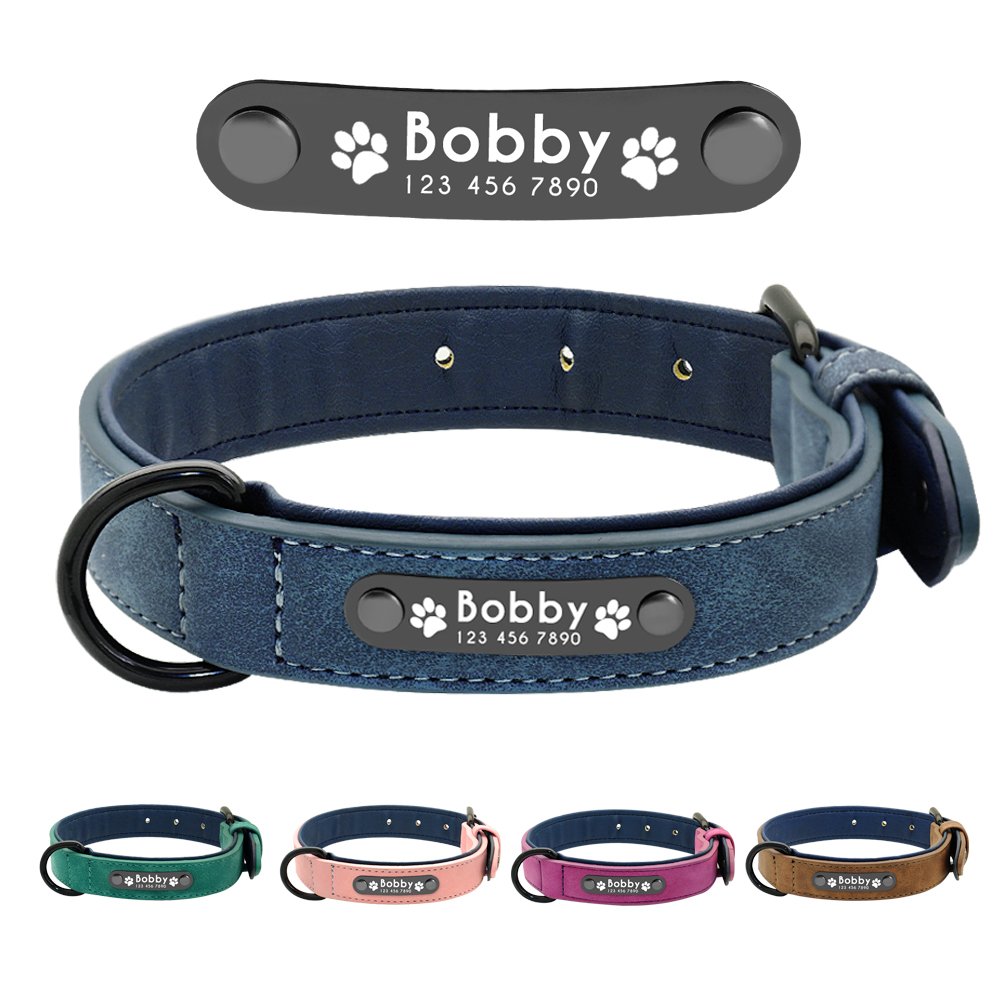 Didog Soft Leather Padded Custom Dog Collar with Personalized Nameplate