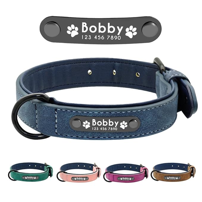 Didog Soft Leather Padded Custom Dog Collar with Personalized Nameplate and D Ring, Engraved Dog