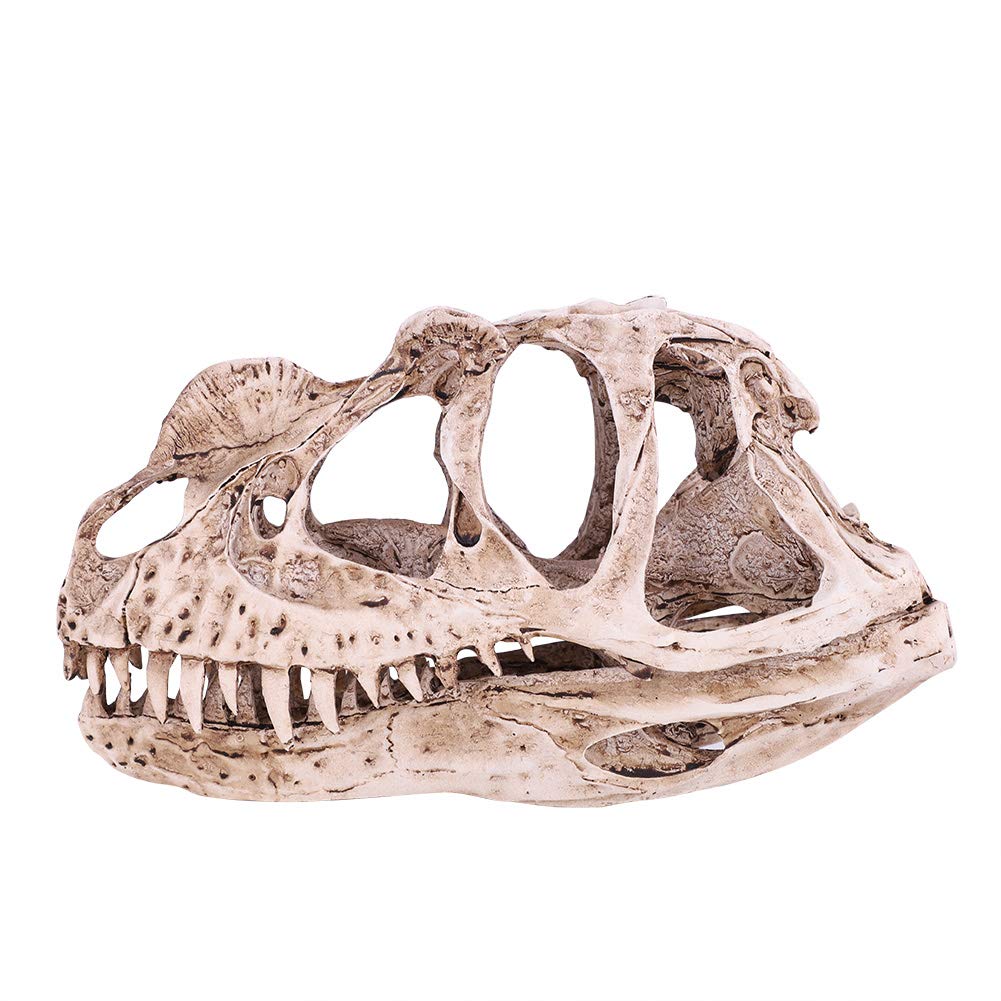 NOENNULL Dinosaur Skull, Dinosaur Bones Replica Head Sculptures Dinosaur Skeleton Model Statue for Home Office Decor Bookshelf Shelf Display, Holiday Birthday Adults Kids