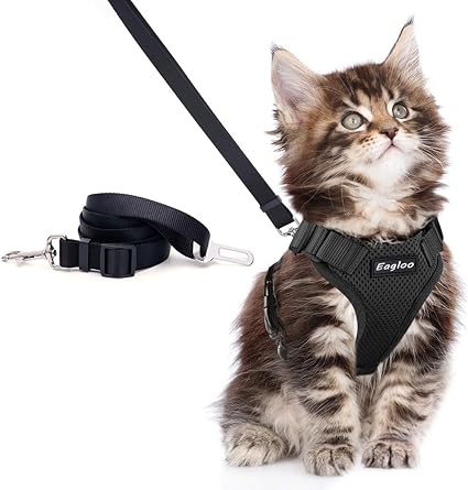 Eagloo Harnais Chien Petit Taille Réglable Avec Laisse Réfléchissant Harnais Chat Confortable Facile à Mettre Harnais Pour Chihuahua Yorkshire Lapin