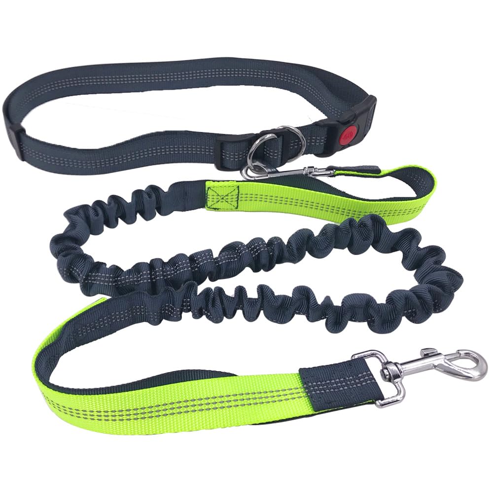 QitinDasen Grey Hands Free Dog Leash, Adjustable Waist Belt and Dual-Handle Retractable Bungee Leash with Reflective Stitching (Green Handle)