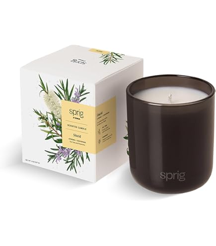 Amazon.com : Sprig by Kohler Sleep Aromatherapy Candle with