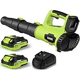 Leaf Blower, 21V Cordless Electric Blower with 2 2.0Ah Batteries and 1 Hour Fast Charger, Lightweight Leaf Blower for Patio Cleaning, Lawn Care, Blowing Fallen Leaves and Dust, etc.