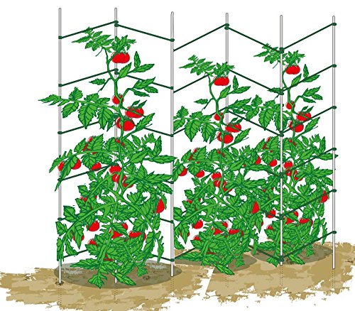 ecotrellis, ampliable Wave enrejado, enrejado, Pea pared de tomate ...